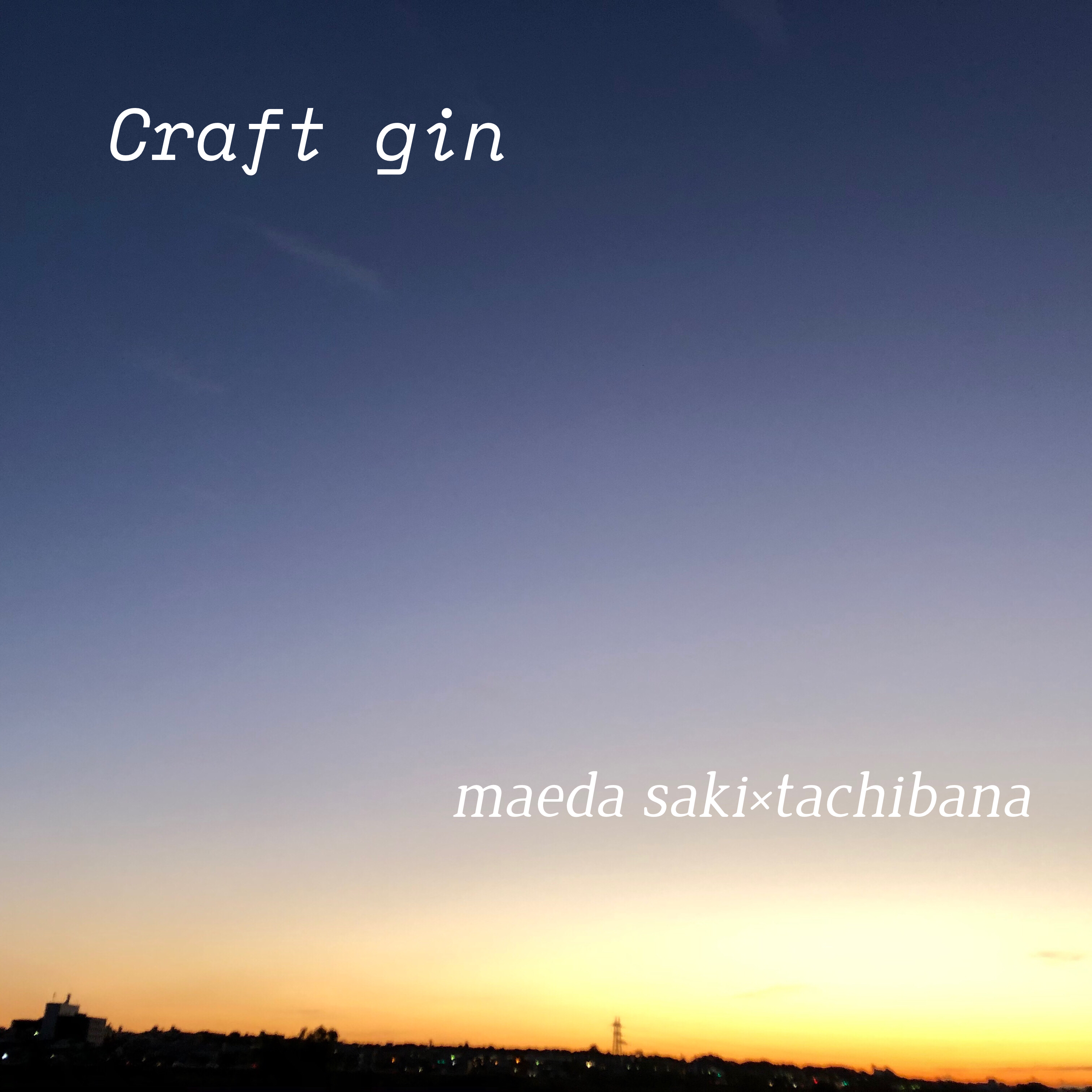 Craft Gin